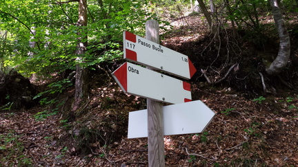 E117-ldp002-00-d3-160521