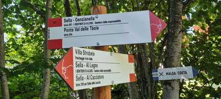 E207-ldp000-60-d01-20240811-CR