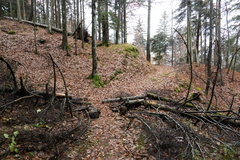 E208A-20211117-td-2089-3