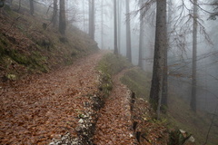 E208A-20211117-td-2136-50