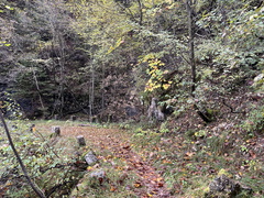 E218-ldp006-00-p01-241019-ED