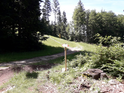 E223-ldp002-00-p02-220608-ED