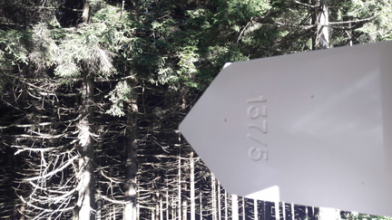 E235-ldp006-00-d04-SezLevicoT-160930