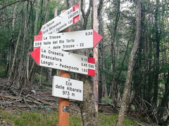 E297A-ldp001-00-d1-180919-PG