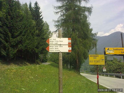 E311-ldp000-00-090821-lz-Betulle