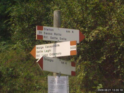 E311-ldp002-00-090821-lz-bivioPalue