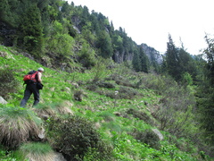 E319A-LB-130619-2454