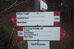 E331A-ldp005-00-d01-241117-FB