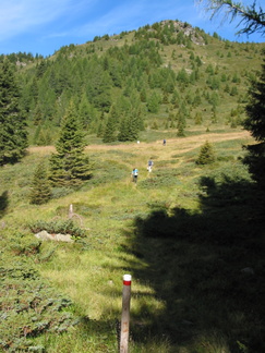 E335A-060902-td-010-fossernica-015