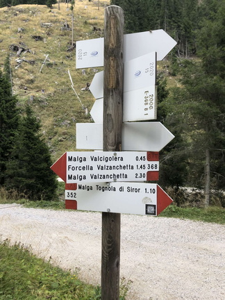 E368-ldp008-00-d02-220824-ED (35 visite) E368-ldp008-00-d02-220824-ED