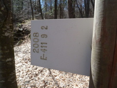 E411-ldp009-01-d2-160411