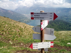 E411-ldp014-00-d02-220511-MM