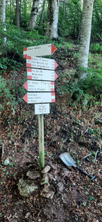 E412-ldp008-00-d01-230720-TD