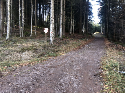 E415-ldp007-00-p01-221118-ED