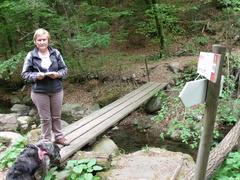 E420A-ldp001-00-p2-160423