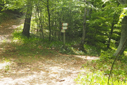 E456-ldp003-00-p01-200611-FB