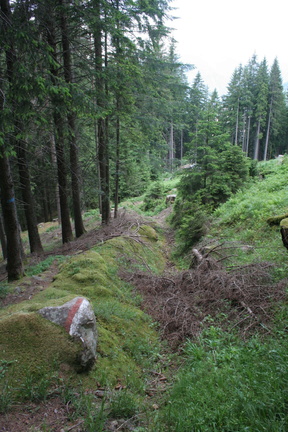 E468B-090607-0972-Strada-Mandre