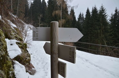 E469-ldp003-00-d02-1800116-ED