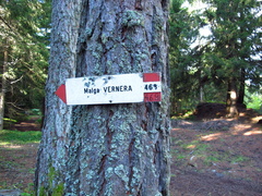 E469-ldp004-20-d1-170808-EG-0059-pr-ldp4