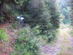 E470-ldp002-00-p01-210830.FB