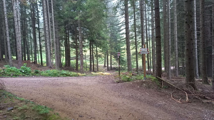 E482-ldp013-00-p01-211005-MB