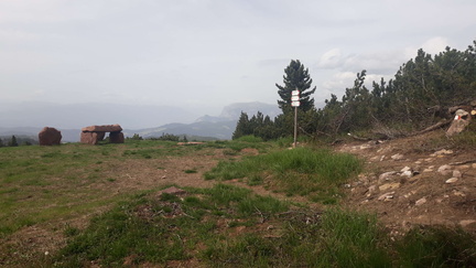 E502-ldp008-00-p01-210620-MB