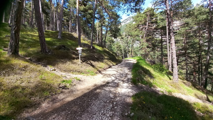 E513-ldp003-00-p02-250530-MB