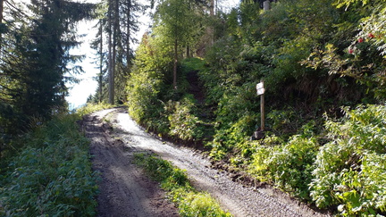 E515B-ldp001-00-p01-250904-MB