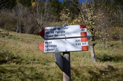 E517-ldp010-01-d03-181024-ED