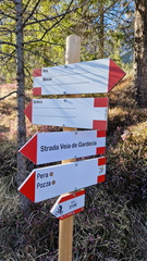 E546-ldp000-01-d1-050425-PB