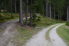 E556B-ldp000-00-p01-181017-ED