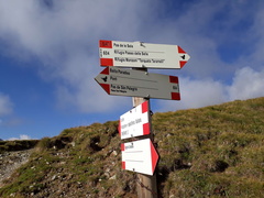 E604-ldp005-00-d02-240903-DS