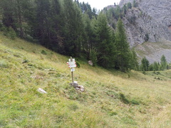 E616-ldp007-80-p01-240906-DS