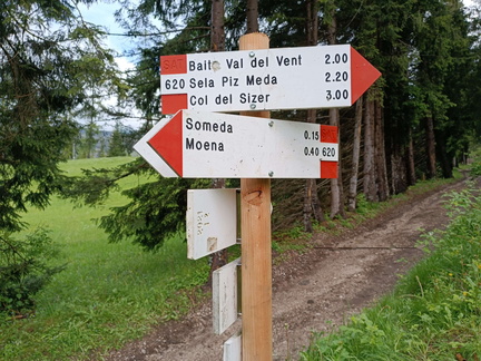 E620-ldp002-00-d01-03062024-td