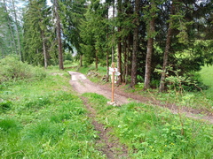 E620-ldp002-00-p01-03062024-td