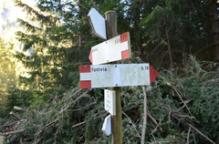 E622-ldp001-00-d02-181024-ED