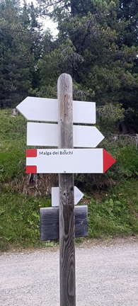 E623-ldp008-00-d02-250817-EF (11 visite) E623-ldp008-00-d02-250817-EF