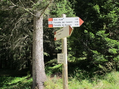 E625-ldp002-00-d1-140927