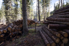 E635-061020-td-5869-62