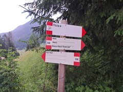 E636-ldp003-00-d1-10072024-TE