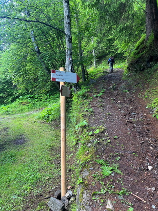 E717-ldp005-00-p01-230622-RF (65 visite) E717-ldp005-00-p01-230622-RF