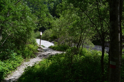 E726-ldp007-00-p1-160618