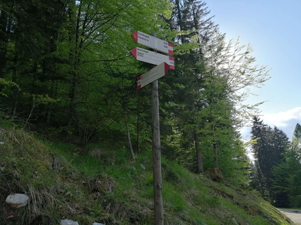 E728A-ldp002-00-d01-210529-RD