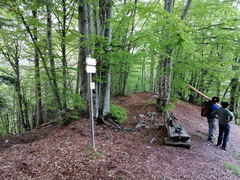 E728A-ldp003-00-p01-210529-RD