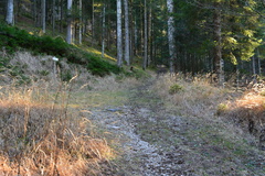 E738-ldp003-00-p2-161208-RF-0052