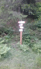 O117-ldp002-00-p01-210807-DR