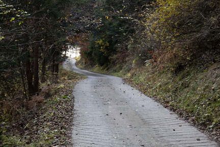 O147-07112020-td6686-94