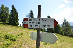 O202-ldp002-01-d01-180725-ED