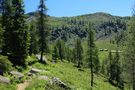 O221-Malga-Garzone-160717-td