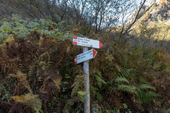 O223B-ldp002-00-d1-171006-DA-7386